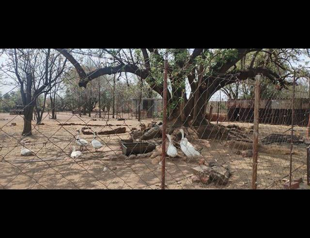 FARM FOR SALE IN MOOILANDE